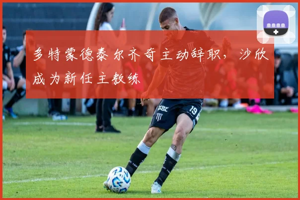 多特蒙德泰尔齐奇主动辞职，沙欣成为新任主教练