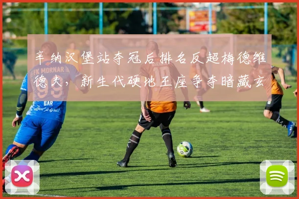 辛纳汉堡站夺冠后排名反超梅德维德夫，新生代硬地王座争夺暗藏玄机